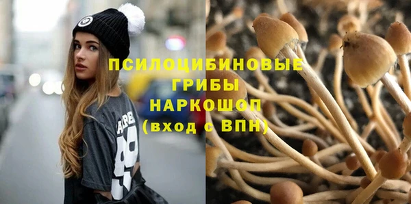 герыч Алзамай